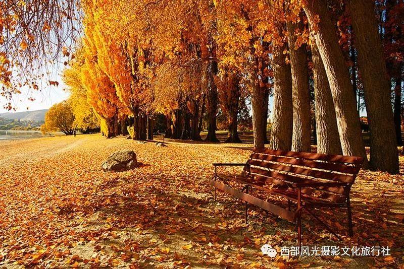 30年国债期货再刷新高，机构：股债“跷跷板效应”显现