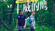 新华社报道！西康高铁加快建设！【959关注】