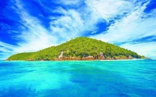 莉莉逃脱记