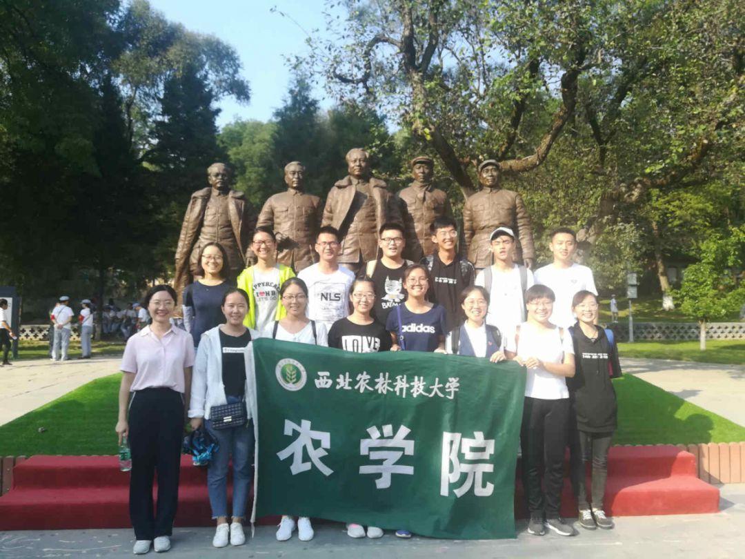 规划修改!温州一新学校不建了