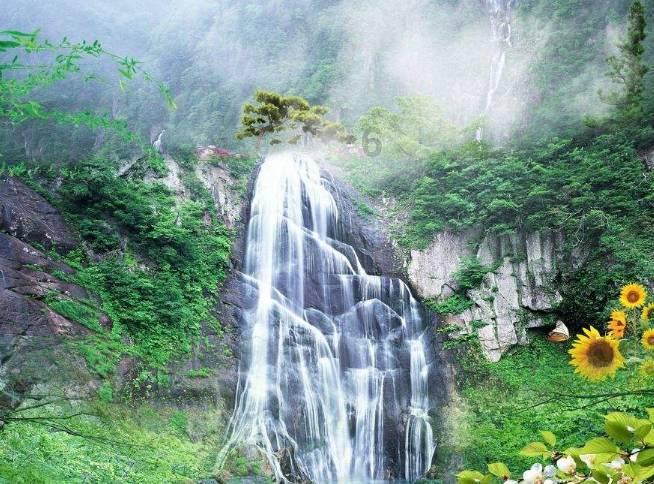 沈阳文旅主打一个听劝