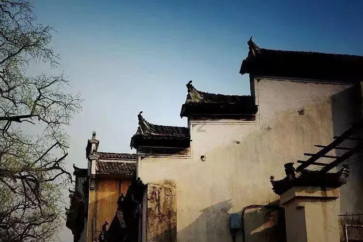 小红帽的冒险之旅