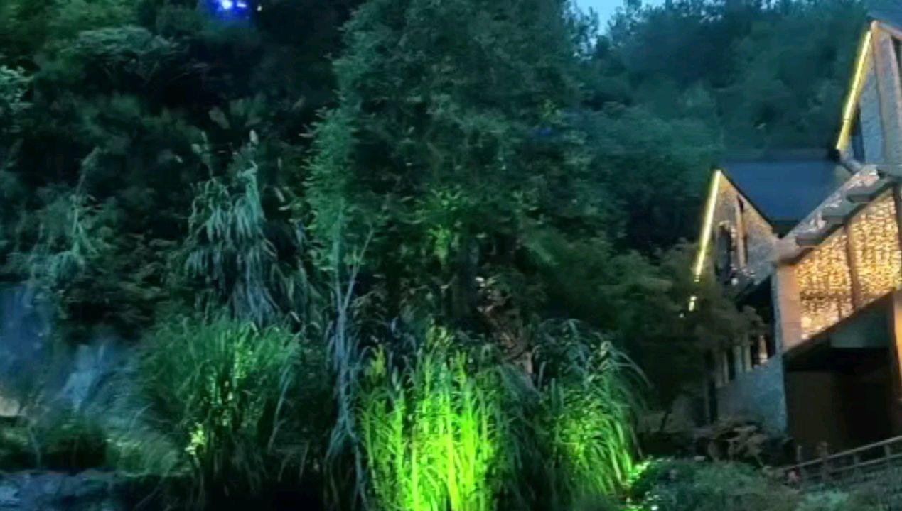 古怪巫师逃离村庄